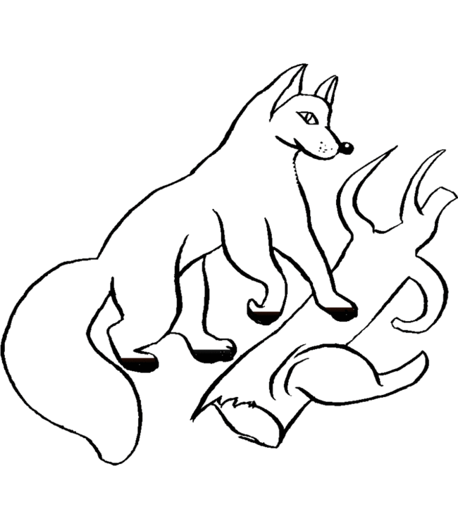 ぬりえページ: 狐 (動物) #15064 - 無料の印刷可能なぬりえページ