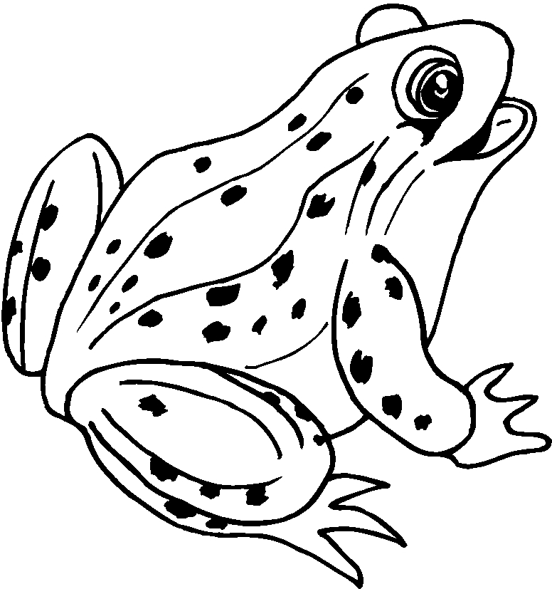 ぬりえページ: 蛙 (動物) #7570 - 無料の印刷可能なぬりえページ