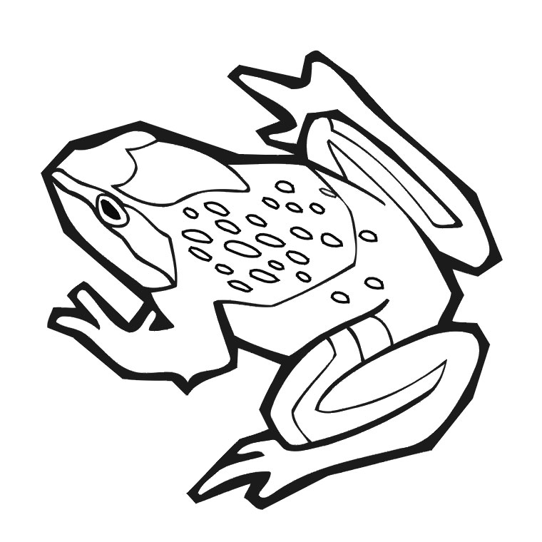 ぬりえページ: 蛙 (動物) #7588 - 無料の印刷可能なぬりえページ