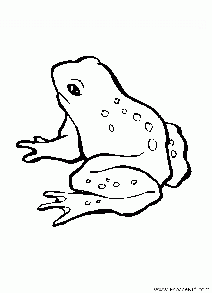 ぬりえページ: 蛙 (動物) #7592 - 無料の印刷可能なぬりえページ