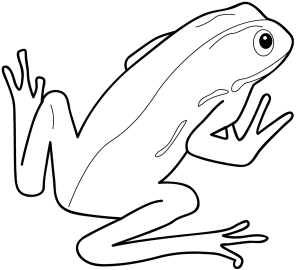 ぬりえページ: 蛙 (動物) #7596 - 無料の印刷可能なぬりえページ