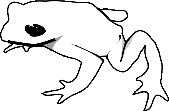 ぬりえページ: 蛙 (動物) #7614 - 無料の印刷可能なぬりえページ