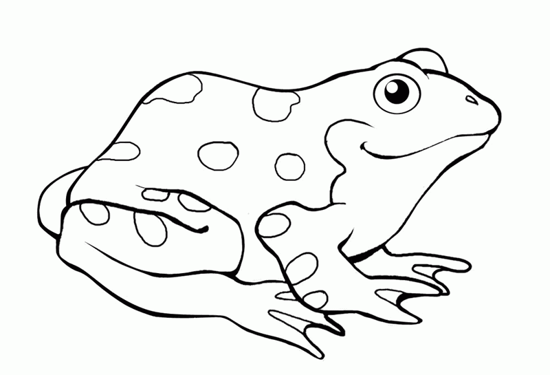 ぬりえページ: 蛙 (動物) #7615 - 無料の印刷可能なぬりえページ