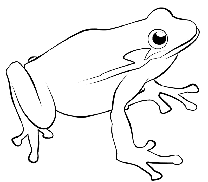 ぬりえページ: 蛙 (動物) #7642 - 無料の印刷可能なぬりえページ