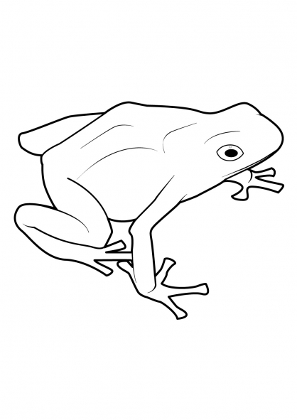 ぬりえページ: 蛙 (動物) #7679 - 無料の印刷可能なぬりえページ