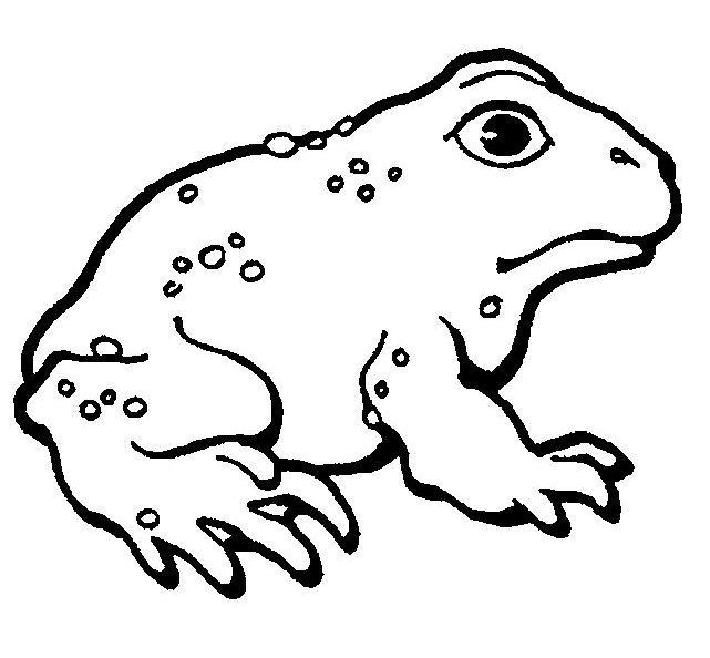 ぬりえページ: 蛙 (動物) #7688 - 無料の印刷可能なぬりえページ
