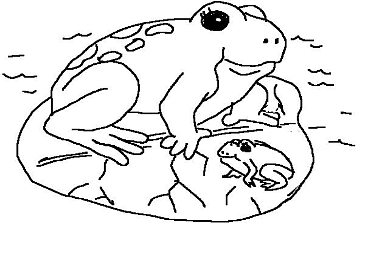ぬりえページ: 蛙 (動物) #7715 - 無料の印刷可能なぬりえページ
