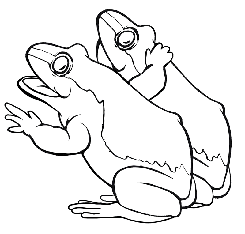 ぬりえページ: 蛙 (動物) #7717 - 無料の印刷可能なぬりえページ