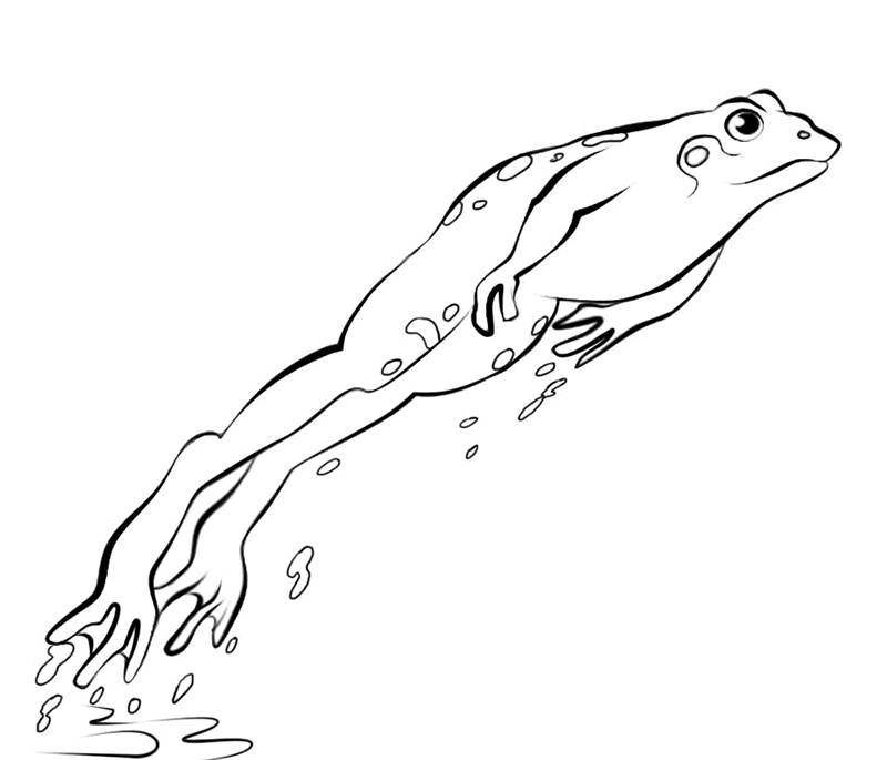 ぬりえページ: 蛙 (動物) #7718 - 無料の印刷可能なぬりえページ