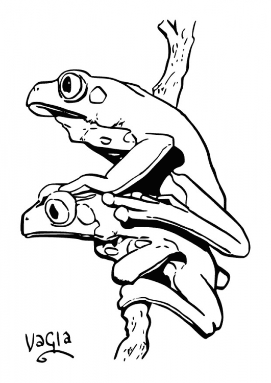ぬりえページ: 蛙 (動物) #7720 - 無料の印刷可能なぬりえページ
