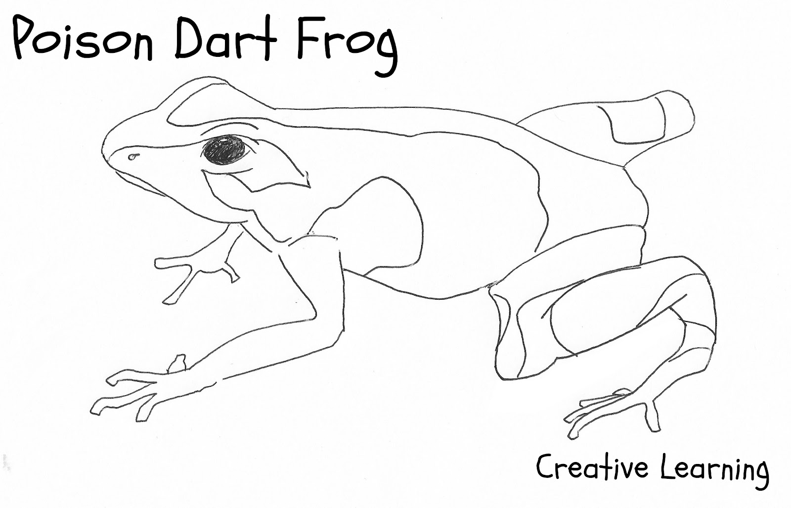 ぬりえページ: 蛙 (動物) #7757 - 無料の印刷可能なぬりえページ