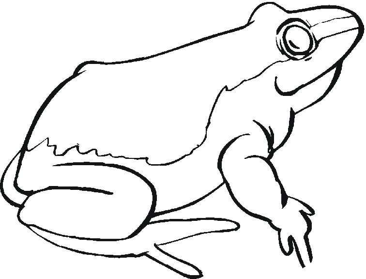 ぬりえページ: 蛙 (動物) #7758 - 無料の印刷可能なぬりえページ