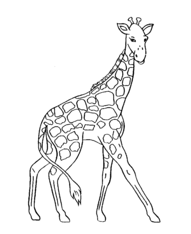 ぬりえページ: キリン (動物) #7220 - 無料の印刷可能なぬりえページ