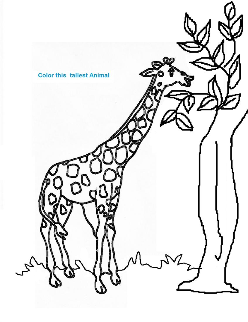 ぬりえページ: キリン (動物) #7265 - 無料の印刷可能なぬりえページ