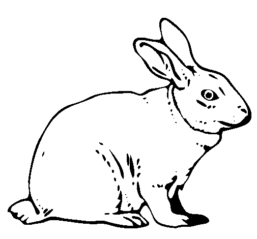 ぬりえページ: 野ウサギ (動物) #10077 - 無料の印刷可能なぬりえページ