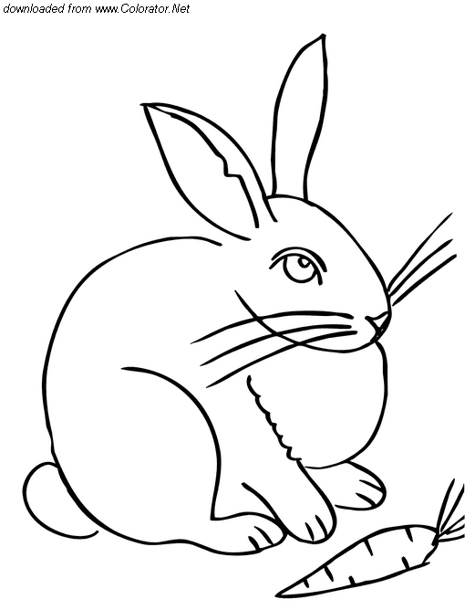 ぬりえページ: 野ウサギ (動物) #10124 - 無料の印刷可能なぬりえページ