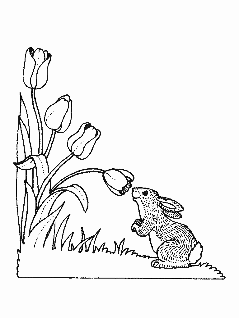 ぬりえページ: 野ウサギ (動物) #10138 - 無料の印刷可能なぬりえページ