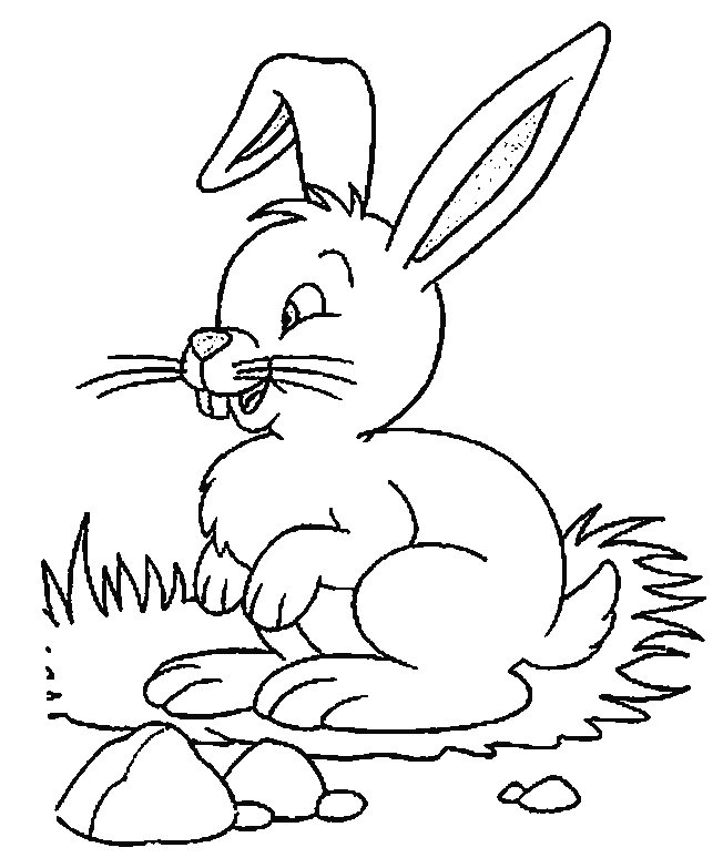 ぬりえページ: 野ウサギ (動物) #10224 - 無料の印刷可能なぬりえページ