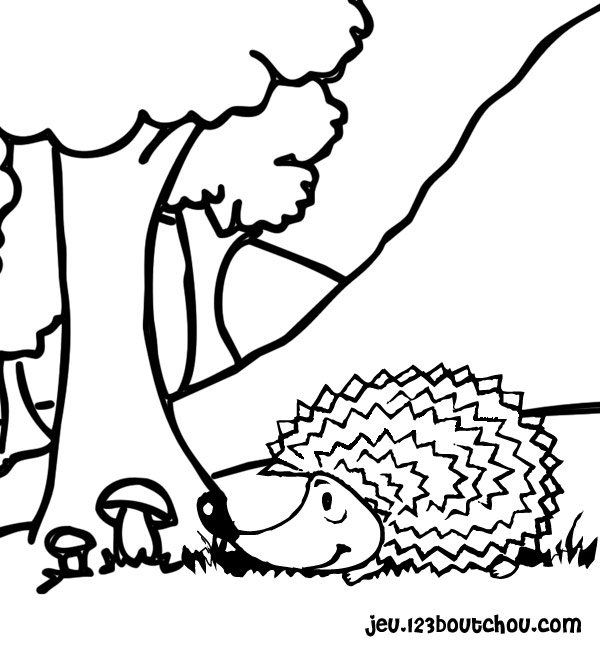 ぬりえページ: ハリネズミ (動物) #8225 - 無料の印刷可能なぬりえページ