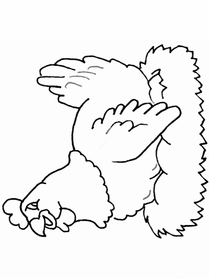 ぬりえページ: めんどり (動物) #17541 - 無料の印刷可能なぬりえページ