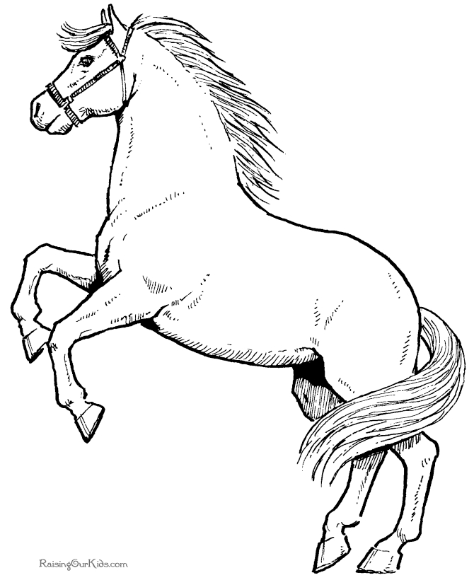 ぬりえページ: 馬 (動物) #2164 - 無料の印刷可能なぬりえページ