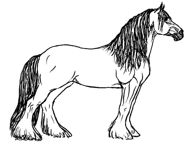 ぬりえページ: 馬 (動物) #2166 - 無料の印刷可能なぬりえページ