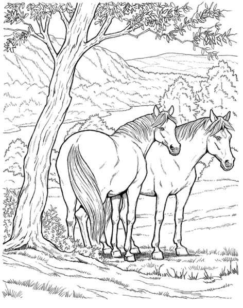 ぬりえページ: 馬 (動物) #2172 - 無料の印刷可能なぬりえページ