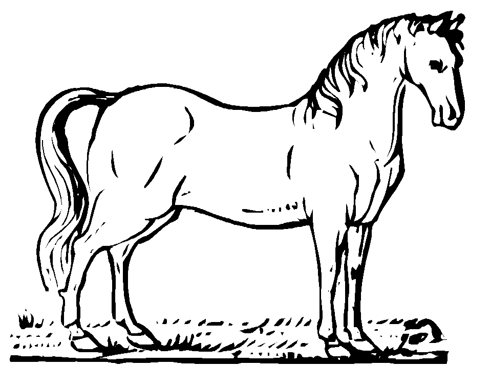ぬりえページ: 馬 (動物) #2176 - 無料の印刷可能なぬりえページ