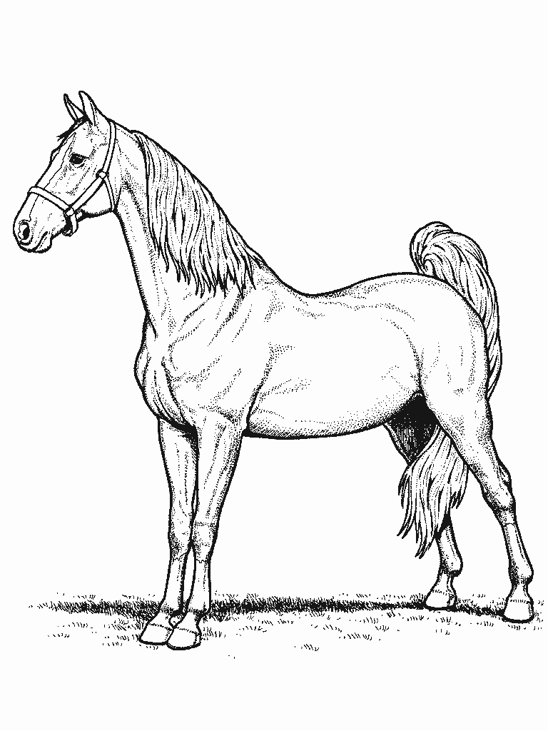 ぬりえページ: 馬 (動物) #2184 - 無料の印刷可能なぬりえページ