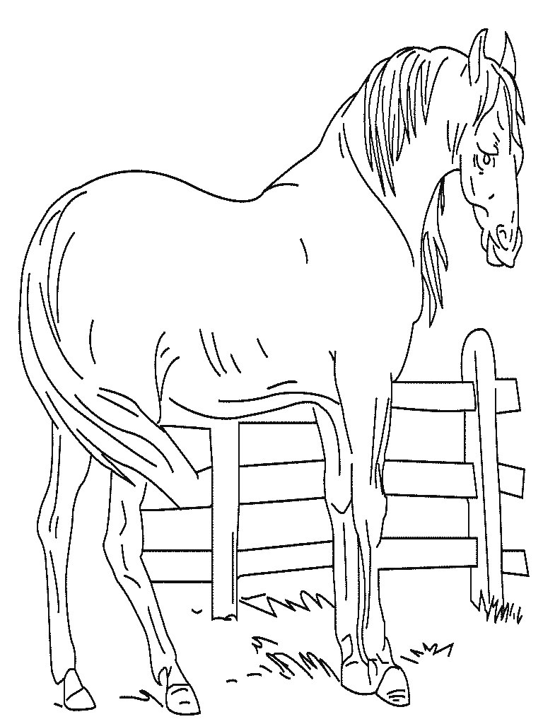 ぬりえページ: 馬 (動物) #2207 - 無料の印刷可能なぬりえページ