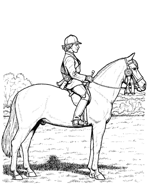 ぬりえページ: 馬 (動物) #2210 - 無料の印刷可能なぬりえページ
