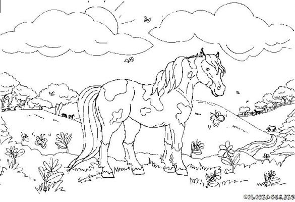 ぬりえページ: 馬 (動物) #2223 - 無料の印刷可能なぬりえページ