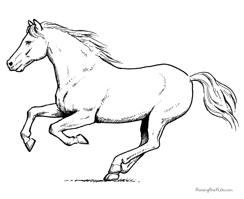 ぬりえページ: 馬 (動物) #2237 - 無料の印刷可能なぬりえページ