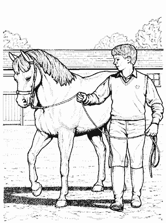ぬりえページ: 馬 (動物) #2264 - 無料の印刷可能なぬりえページ