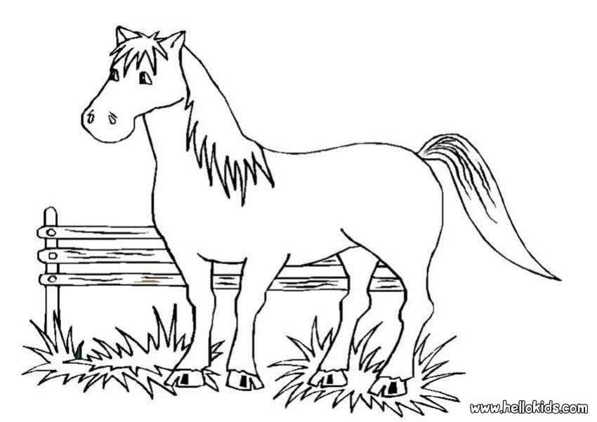 ぬりえページ: 馬 (動物) #2269 - 無料の印刷可能なぬりえページ