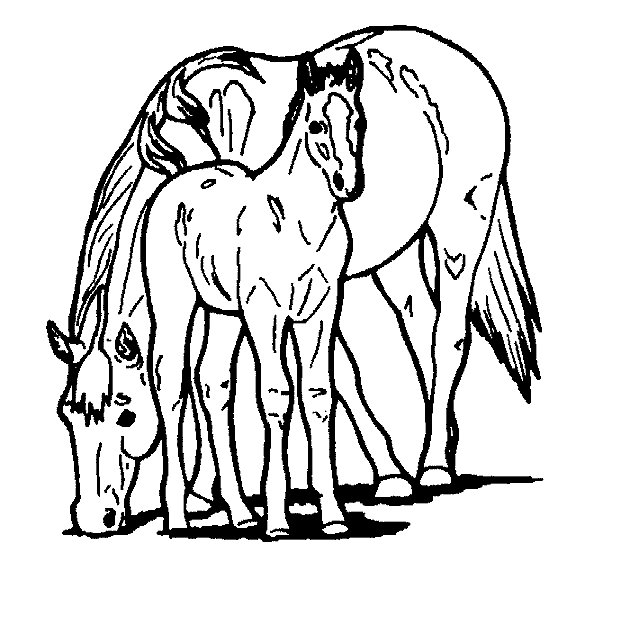 ぬりえページ: 馬 (動物) #2275 - 無料の印刷可能なぬりえページ