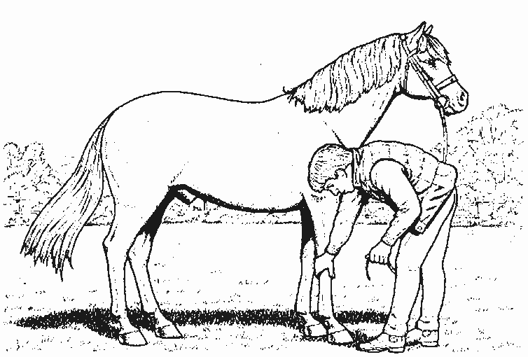 ぬりえページ: 馬 (動物) #2287 - 無料の印刷可能なぬりえページ