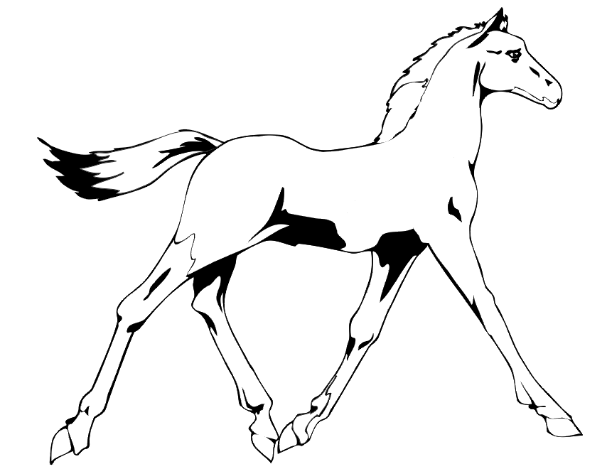 ぬりえページ: 馬 (動物) #2297 - 無料の印刷可能なぬりえページ