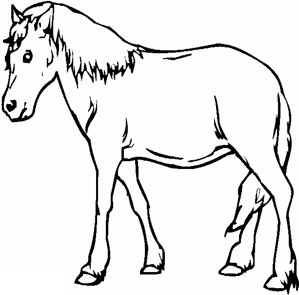 ぬりえページ: 馬 (動物) #2299 - 無料の印刷可能なぬりえページ