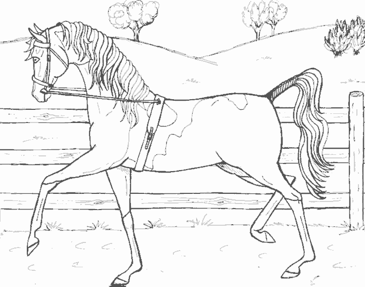 ぬりえページ: 馬 (動物) #2334 - 無料の印刷可能なぬりえページ