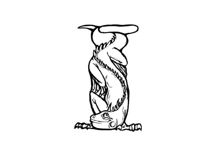 ぬりえページ: イグアナ (動物) #8935 - 無料の印刷可能なぬりえページ