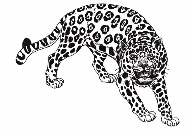 ぬりえページ: ジャガー (動物) #9001 - 無料の印刷可能なぬりえページ
