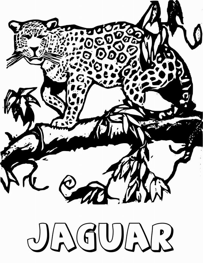 ぬりえページ: ジャガー (動物) #9008 - 無料の印刷可能なぬりえページ