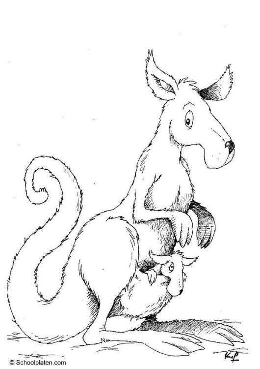 ぬりえページ: カンガルー (動物) #9147 - 無料の印刷可能なぬりえページ