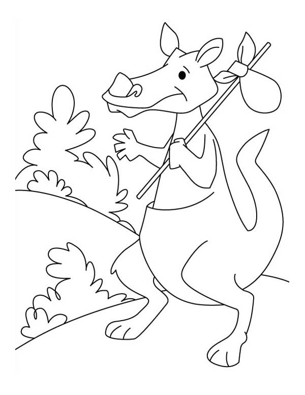 ぬりえページ: カンガルー (動物) #9252 - 無料の印刷可能なぬりえページ
