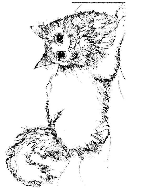 ぬりえページ: 子猫 (動物) #18047 - 無料の印刷可能なぬりえページ