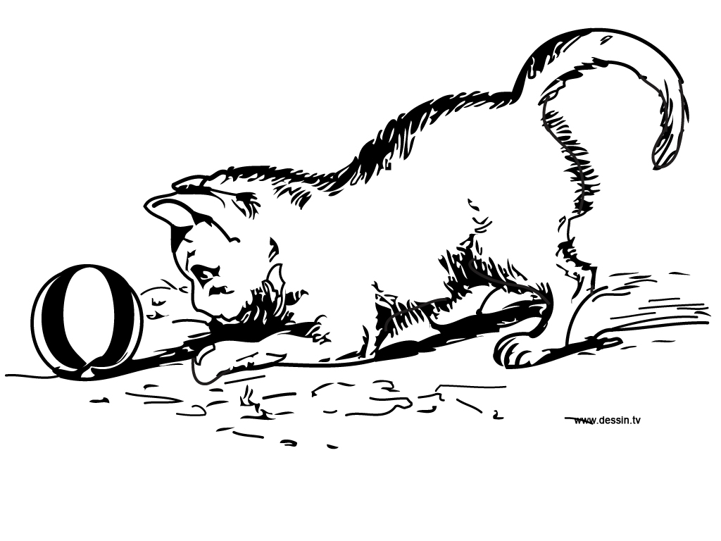 ぬりえページ: 子猫 (動物) #18072 - 無料の印刷可能なぬりえページ