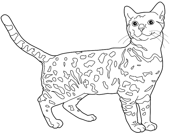 ぬりえページ: 子猫 (動物) #18101 - 無料の印刷可能なぬりえページ