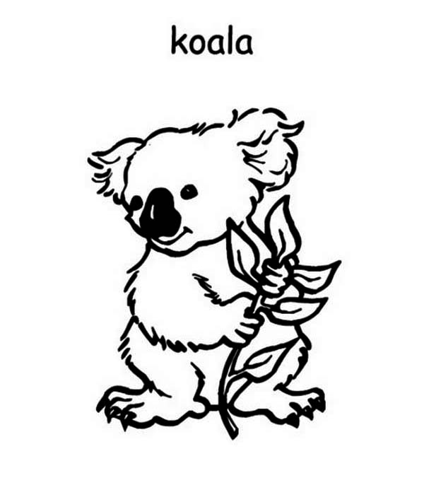 ぬりえページ: コアラ (動物) #9420 - 無料の印刷可能なぬりえページ