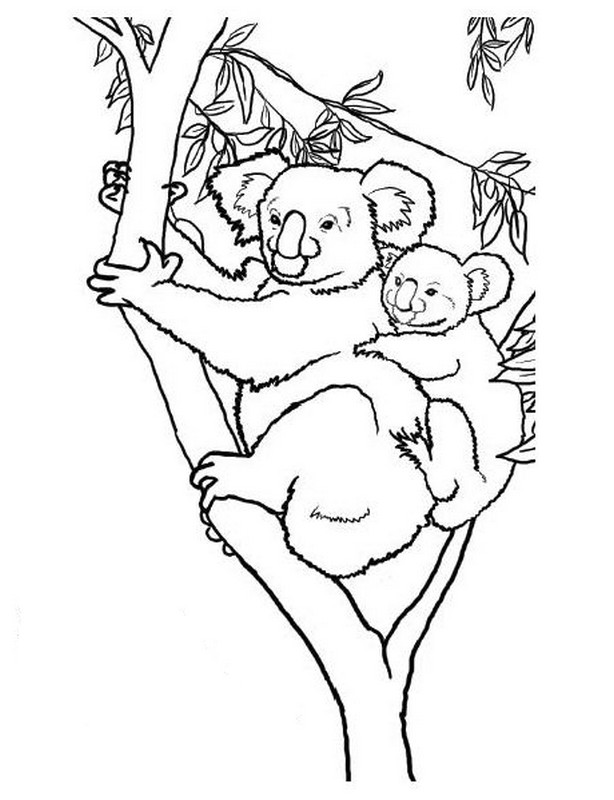 ぬりえページ: コアラ (動物) #9452 - 無料の印刷可能なぬりえページ